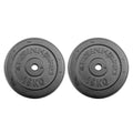 Train Hard® Hantelscheiben Gusseisen 2 x 15 Kg HanssonSports.de